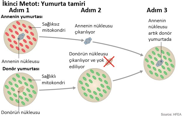 uc-donorlu-tup-bebek-2