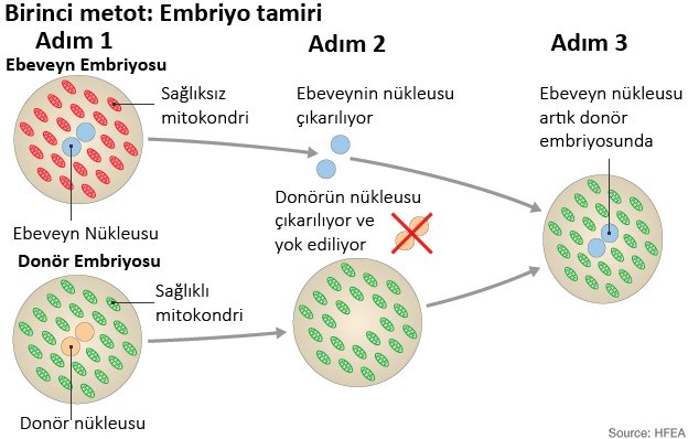 uc-donorlu-tup-bebek