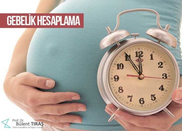 gebelik-hesaplama