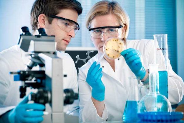 Laboratory