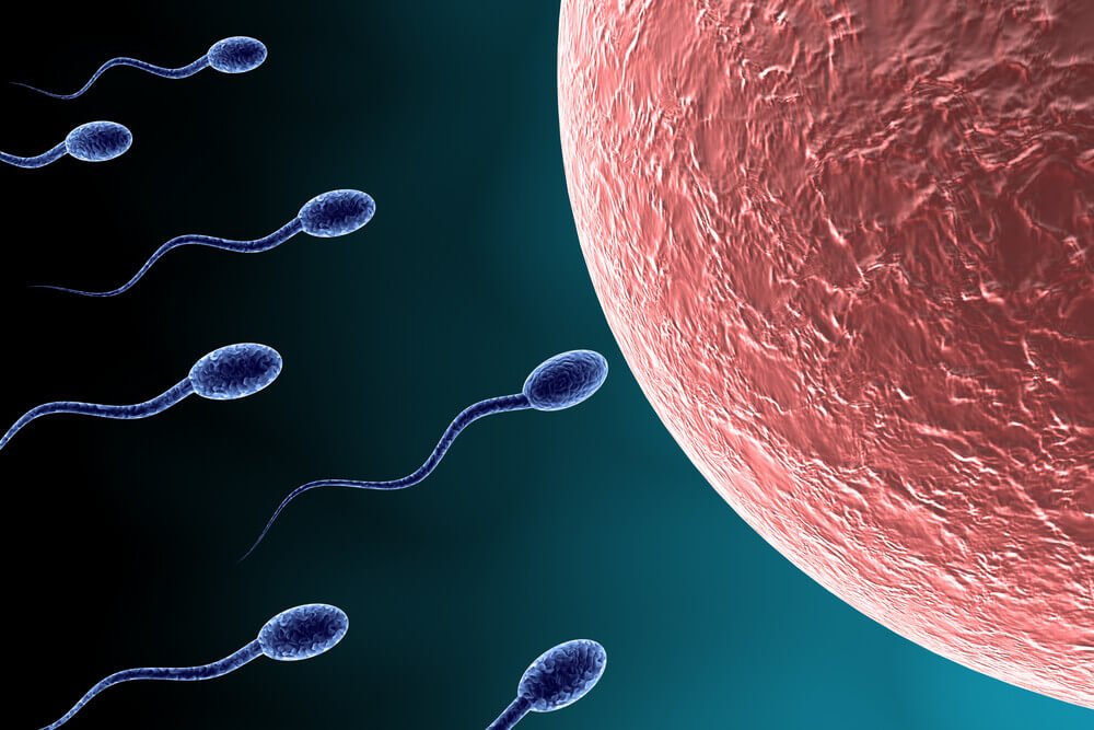 sperm-hizi.jpg