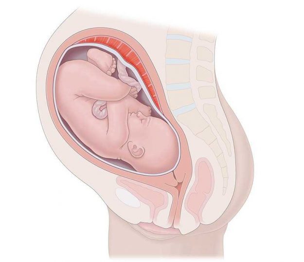 anterior-pozisyon