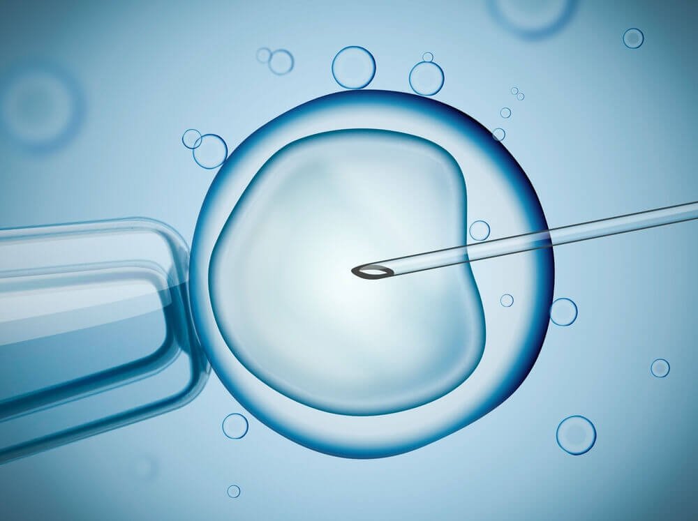 embriyo transferi nasıl yapılır?