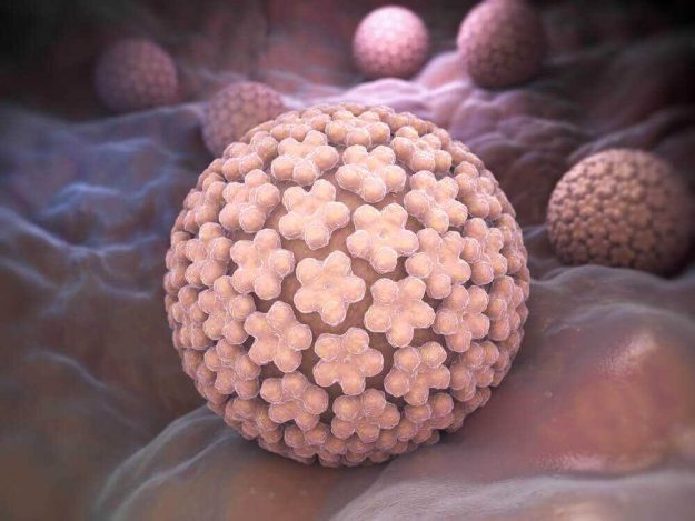 hpv