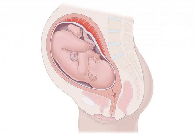 bebegin-pozisyonlari